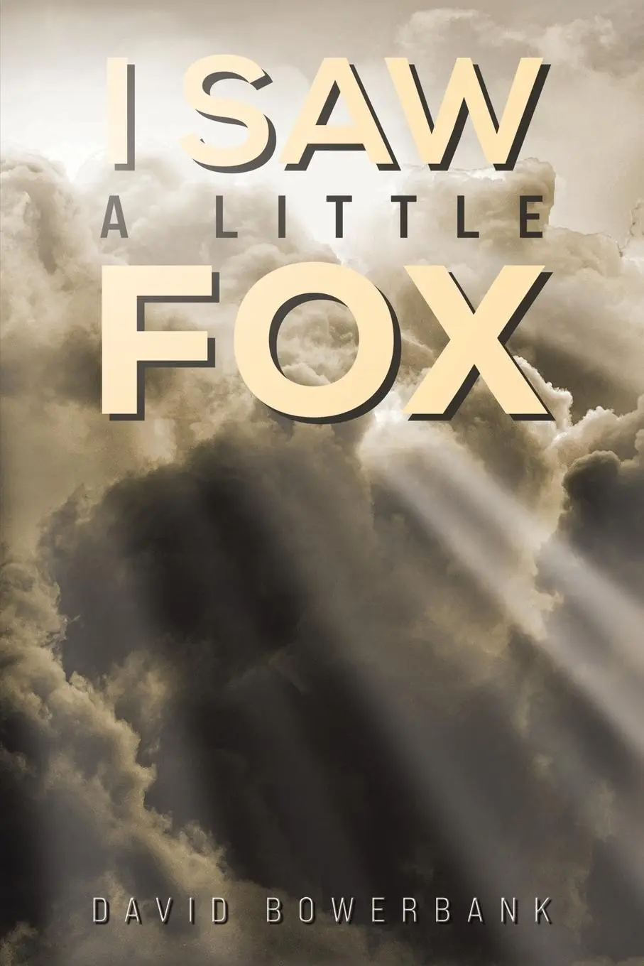 Cover: 9781035851614 | I Saw a Little Fox | David Bowerbank | Taschenbuch | Englisch | 2024