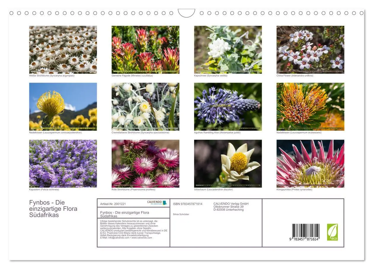 Bild: 9783457871614 | Fynbos - Die einzigartige Flora Südafrikas (Wandkalender 2026 DIN...