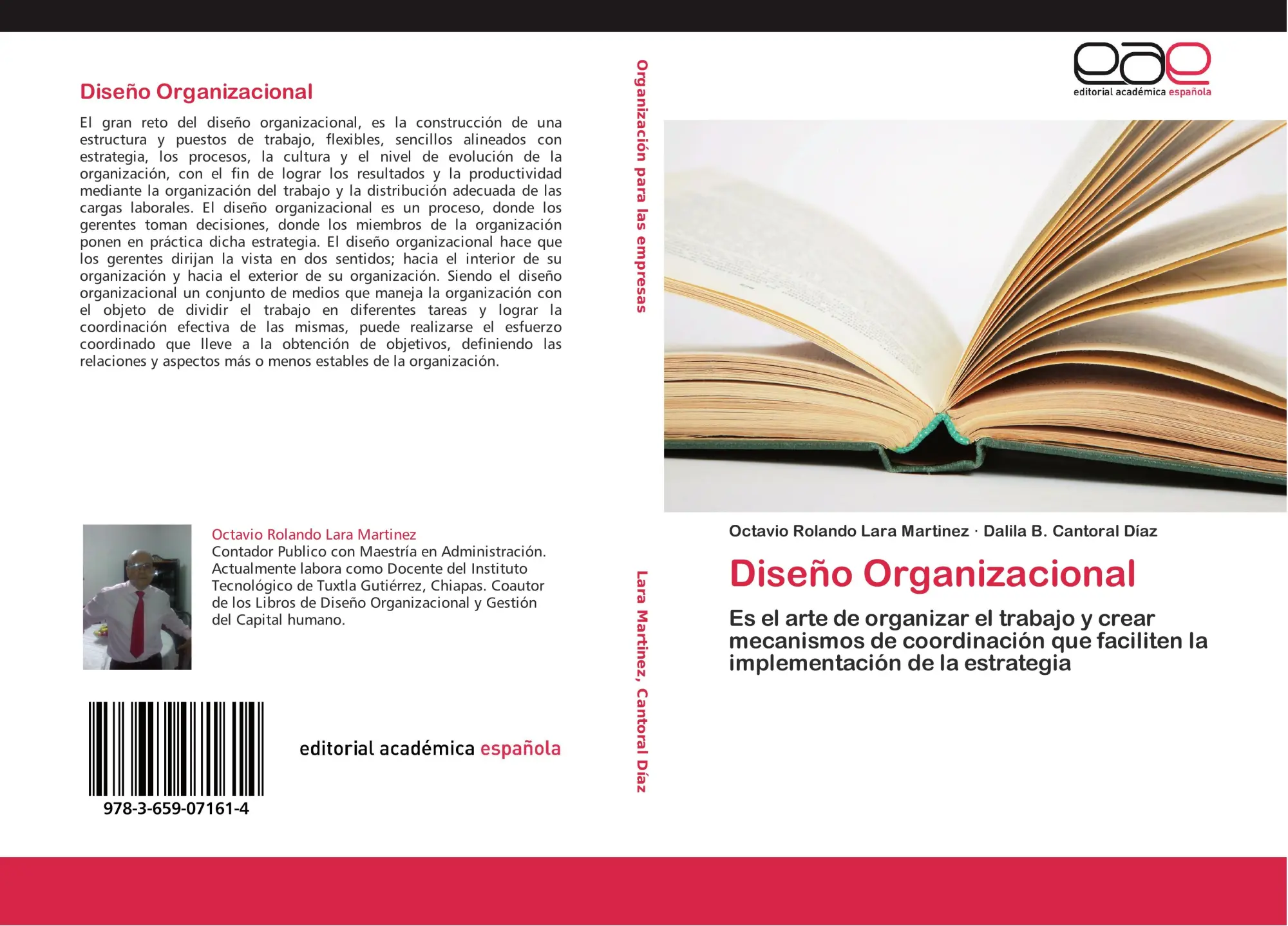 Cover: 9783659071614 | Diseño Organizacional | Octavio Rolando Lara Martinez (u. a.) | Buch