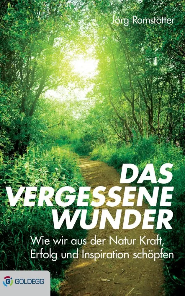 Cover: 9783902991614 | Das vergessene Wunder | Jörg Romstötter | Buch | 248 S. | Deutsch