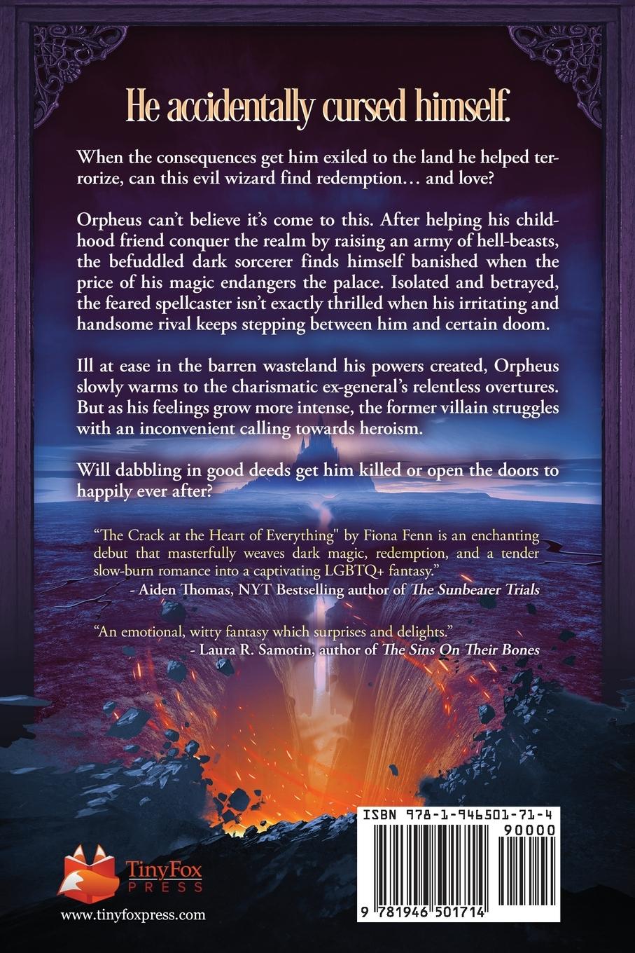 Rückseite: 9781946501714 | The Crack at the Heart of Everything | Fiona Fenn | Taschenbuch | 2024
