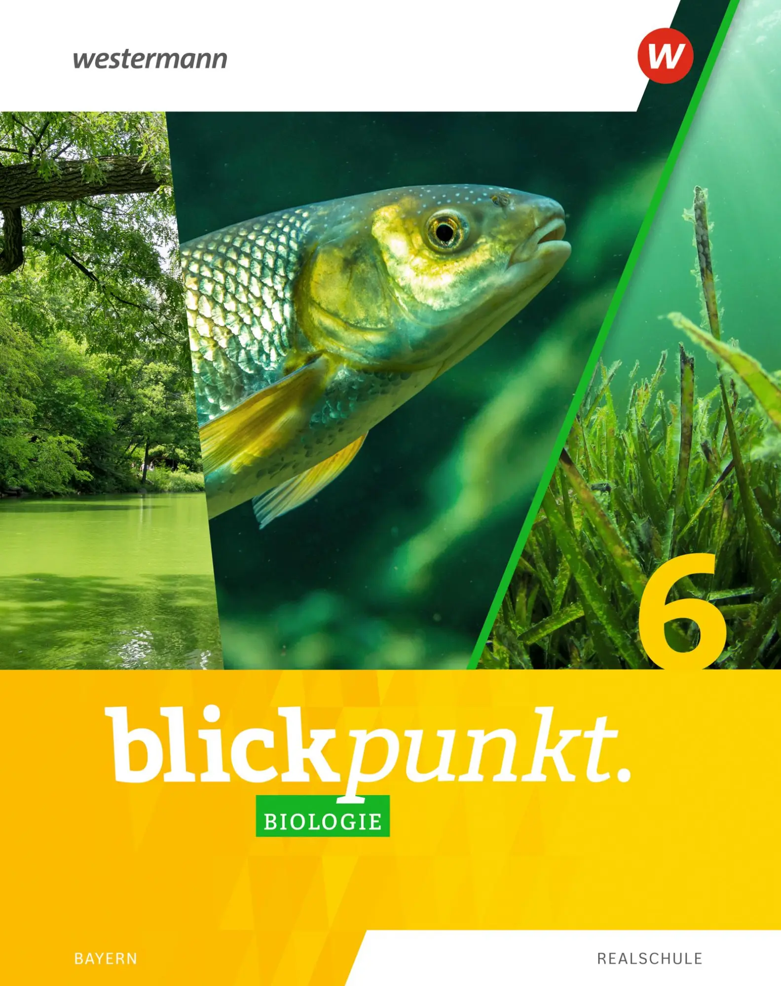 Cover: 9783141881714 | Blickpunkt Biologie 6. Schulbuch. Für Realschulen in Bayernern | 2024
