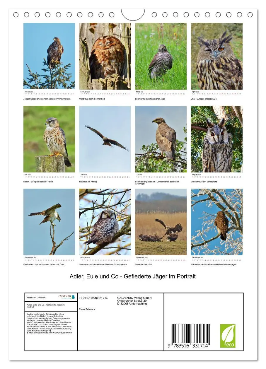 Bild: 9783516331714 | Adler, Eule und Co - Gefiederte Jäger im Portrait (Wandkalender...