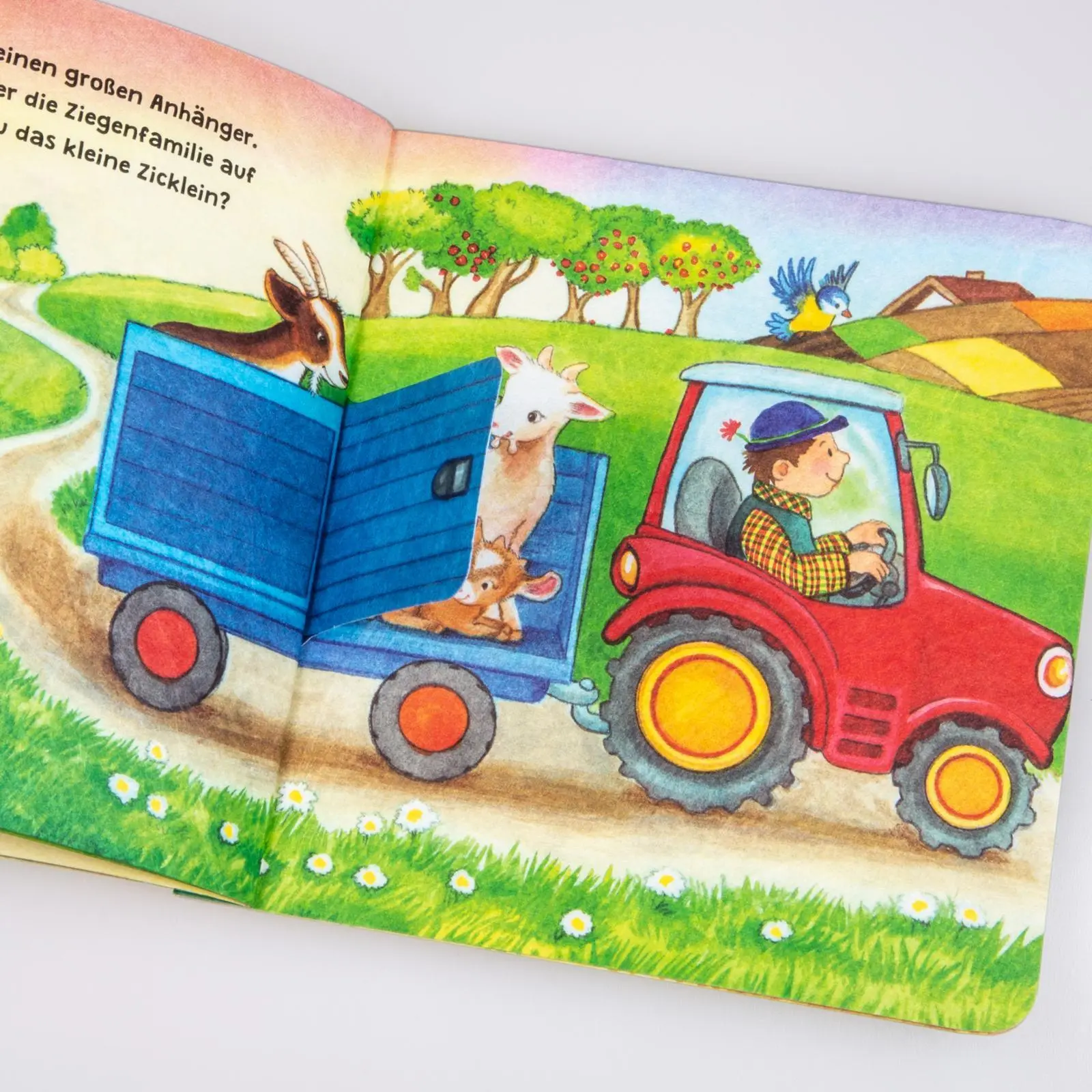 Bild: 9783551051714 | Baby Pixi (unkaputtbar) 69: Mein Lieblingsbuch vom Bauernhof | Gruber