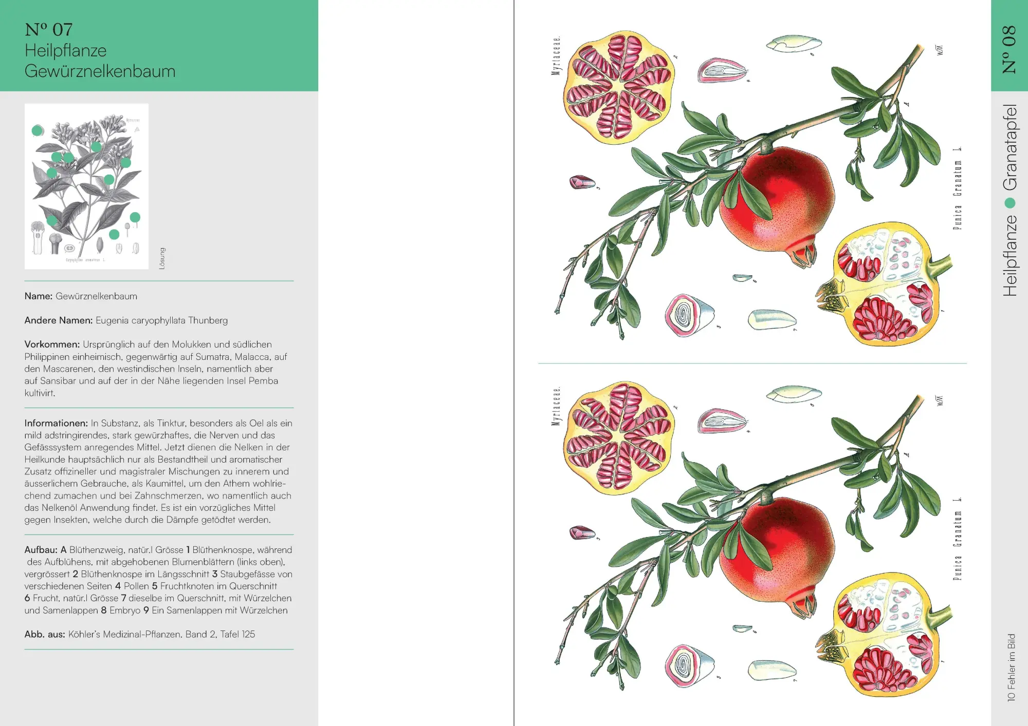 Bild: 9783968491714 | Finde den Fehler - 50 Botanische Illustrationen | Bildersuchrätsel