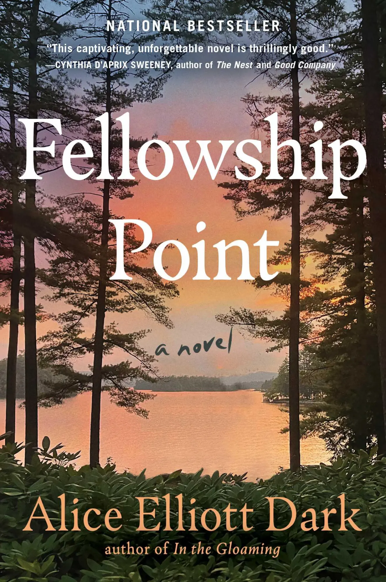 Cover: 9781982131814 | Fellowship Point | Alice Elliott Dark | Buch | Gebunden | Englisch