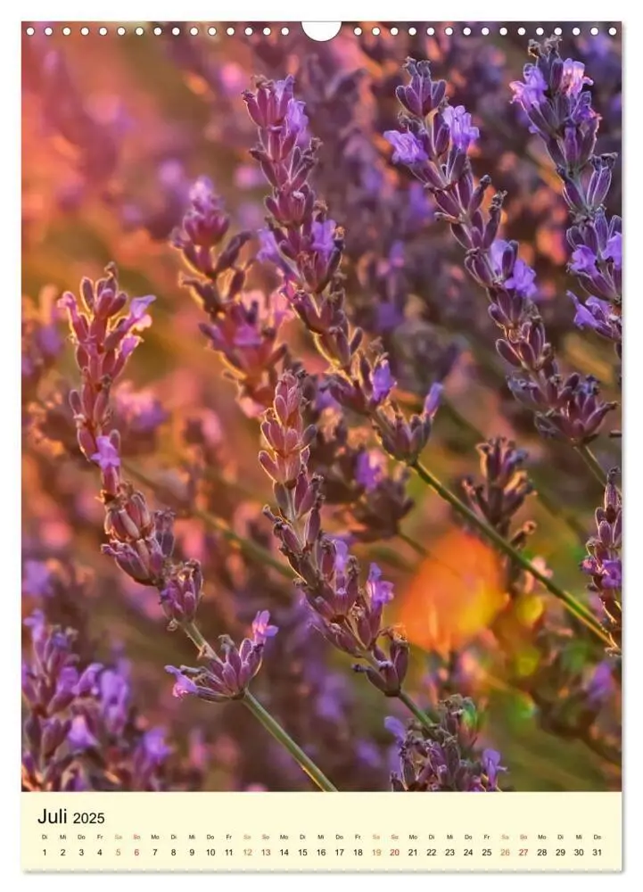 Bild: 9783435901814 | Provence Lavendel Paradies (Wandkalender 2025 DIN A3 hoch),...