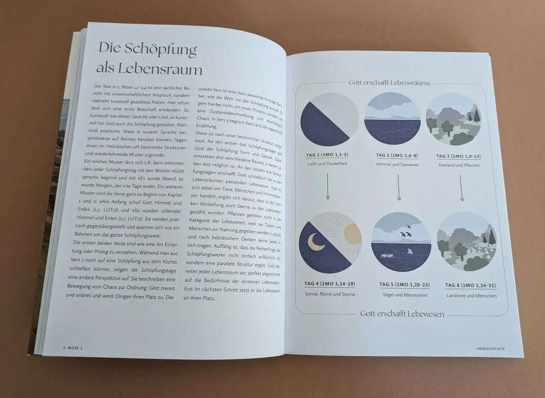 Bild: 9783417241914 | Das Bibellesebuch zu 1. Mose | Tabea Tacke (u. a.) | Taschenbuch