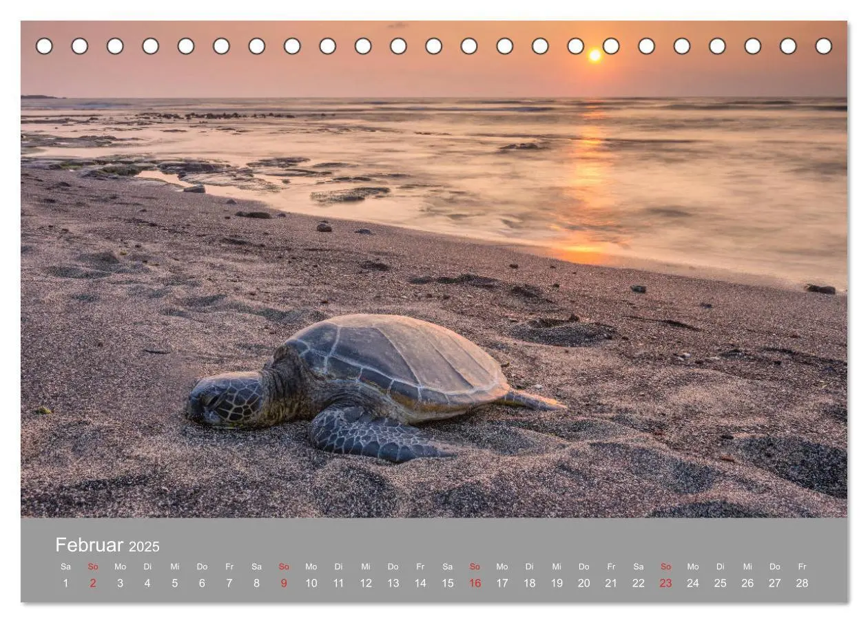 Bild: 9783435201914 | SPIRIT OF HAWAII (Tischkalender 2025 DIN A5 quer), CALVENDO...