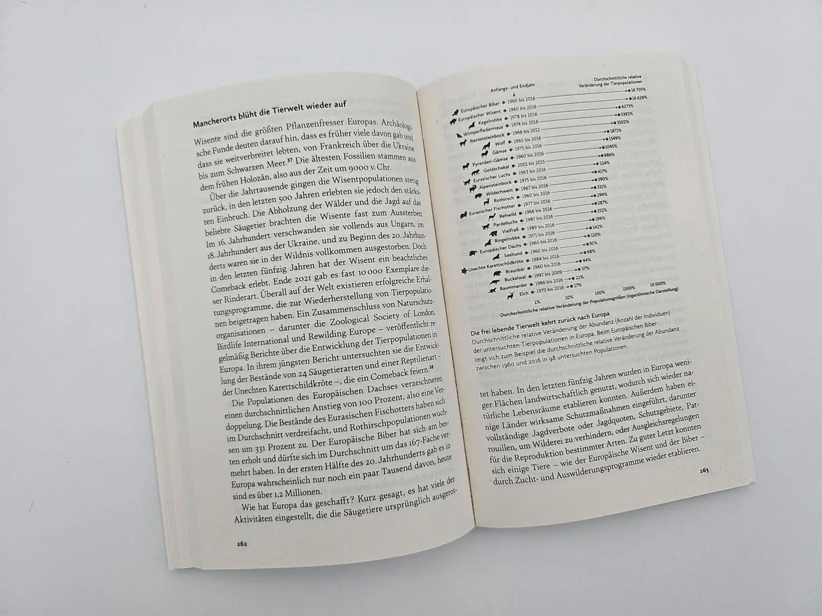 Bild: 9783492321914 | Hoffnung für Verzweifelte | Hannah Ritchie | Taschenbuch | 384 S.