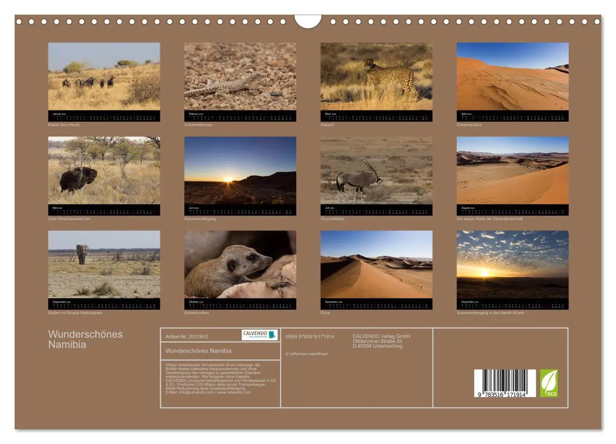 Bild: 9783516171914 | Wunderschönes Namibia (Wandkalender 2026 DIN A3 quer), CALVENDO...