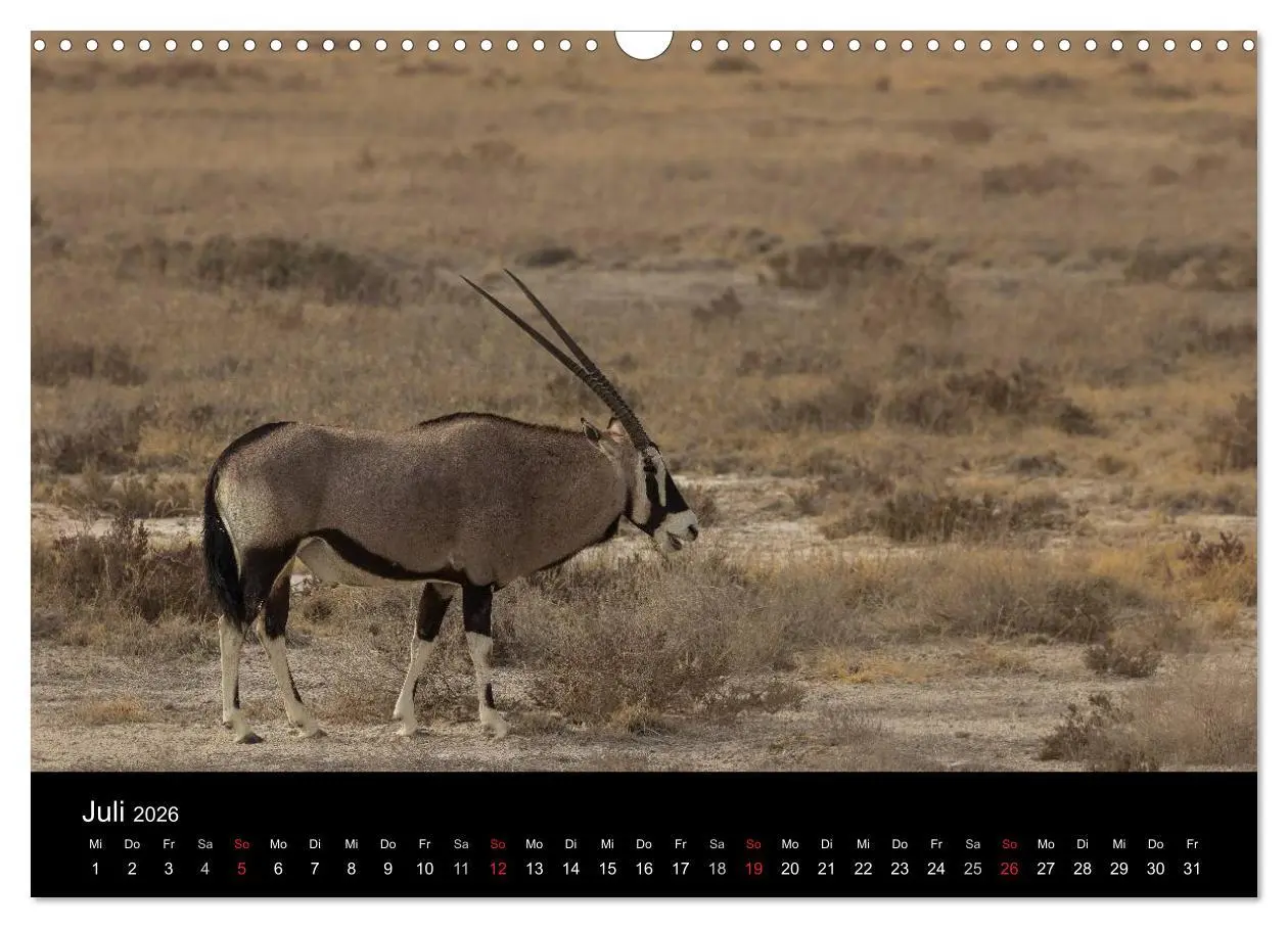 Bild: 9783516171914 | Wunderschönes Namibia (Wandkalender 2026 DIN A3 quer), CALVENDO...