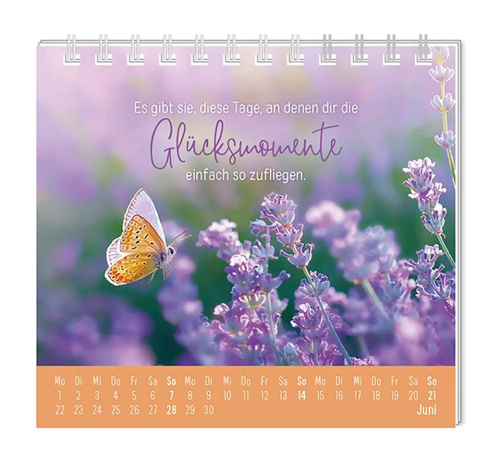 Bild: 9783986361914 | Mini-Kalender 2026 Eine Extraportion Glück für dich! | Mini-Kalender