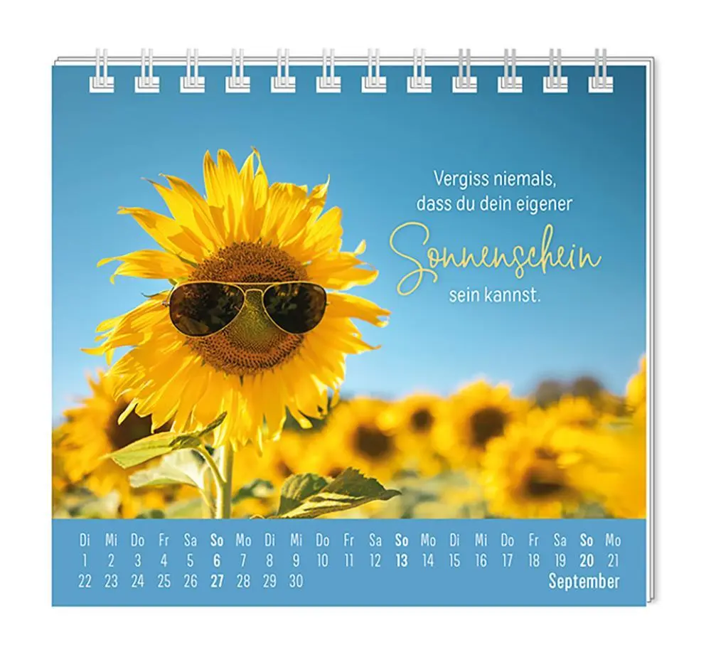 Bild: 9783986361914 | Mini-Kalender 2026 Eine Extraportion Glück für dich! | Mini-Kalender