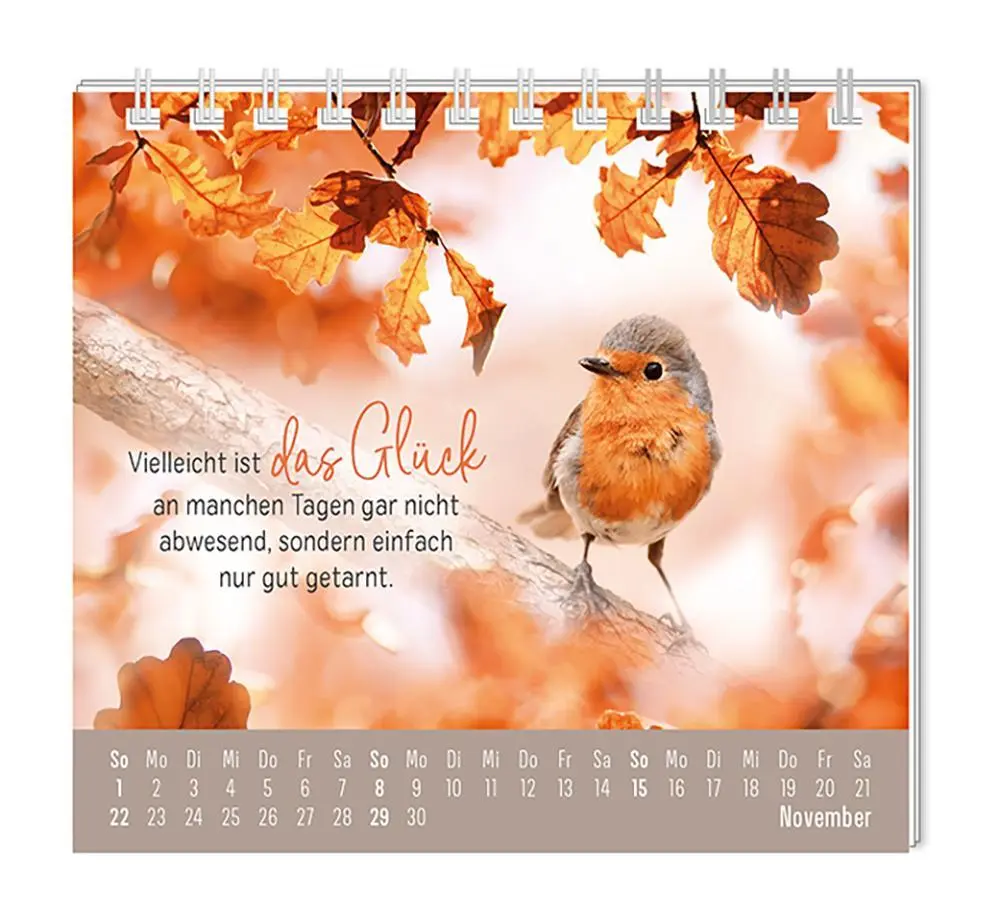 Bild: 9783986361914 | Mini-Kalender 2026 Eine Extraportion Glück für dich! | Mini-Kalender