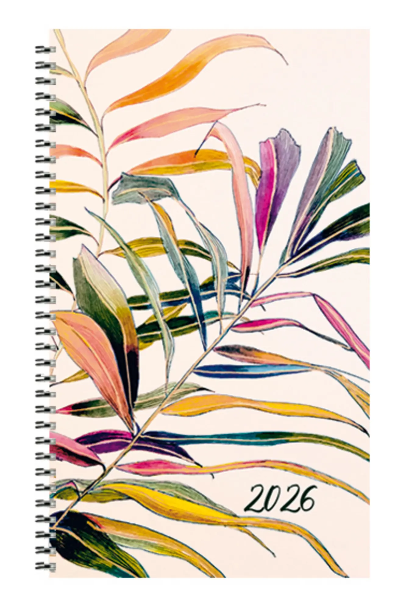 Cover: 9783731892014 | Taschenkalender Youngtimer Palmblätter 2026 | Verlag Korsch | Buch