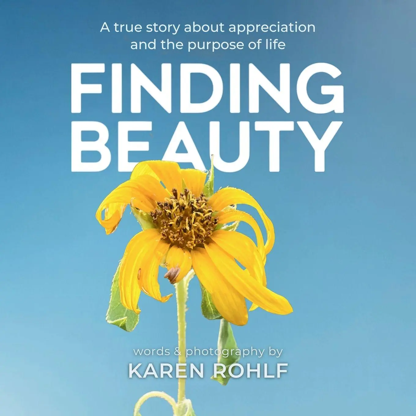 Cover: 9798994352014 | Finding Beauty | Karen Rohlf | Taschenbuch | Englisch | 2026
