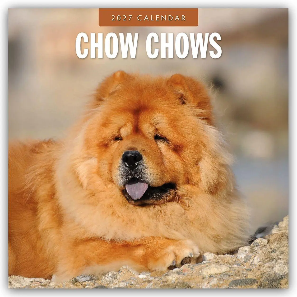 Cover: 9781837012114 | Chow Chows - Chow Chow 2027 - 16-Monatskalender | Robin Red | Kalender