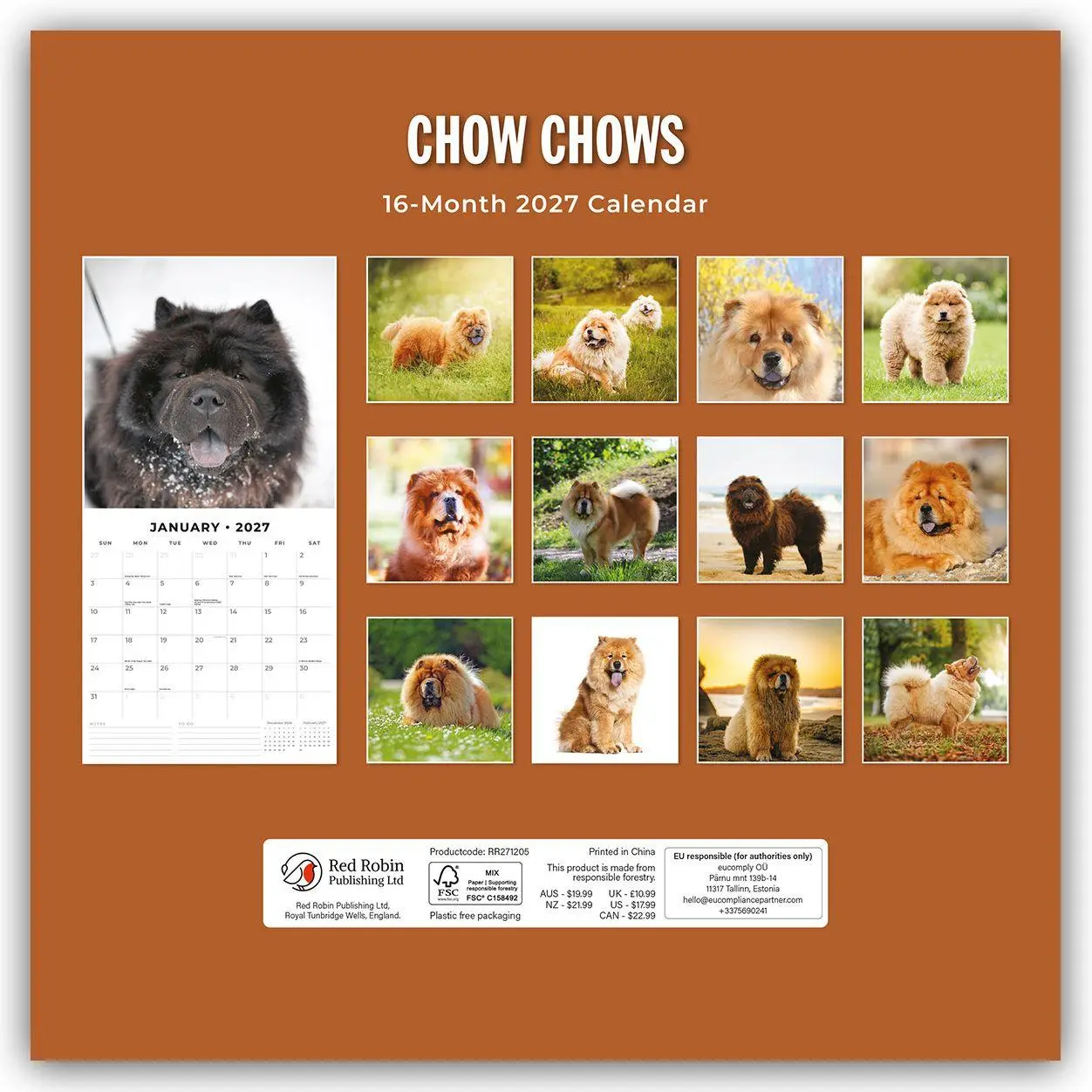 Rückseite: 9781837012114 | Chow Chows - Chow Chow 2027 - 16-Monatskalender | Robin Red | Kalender