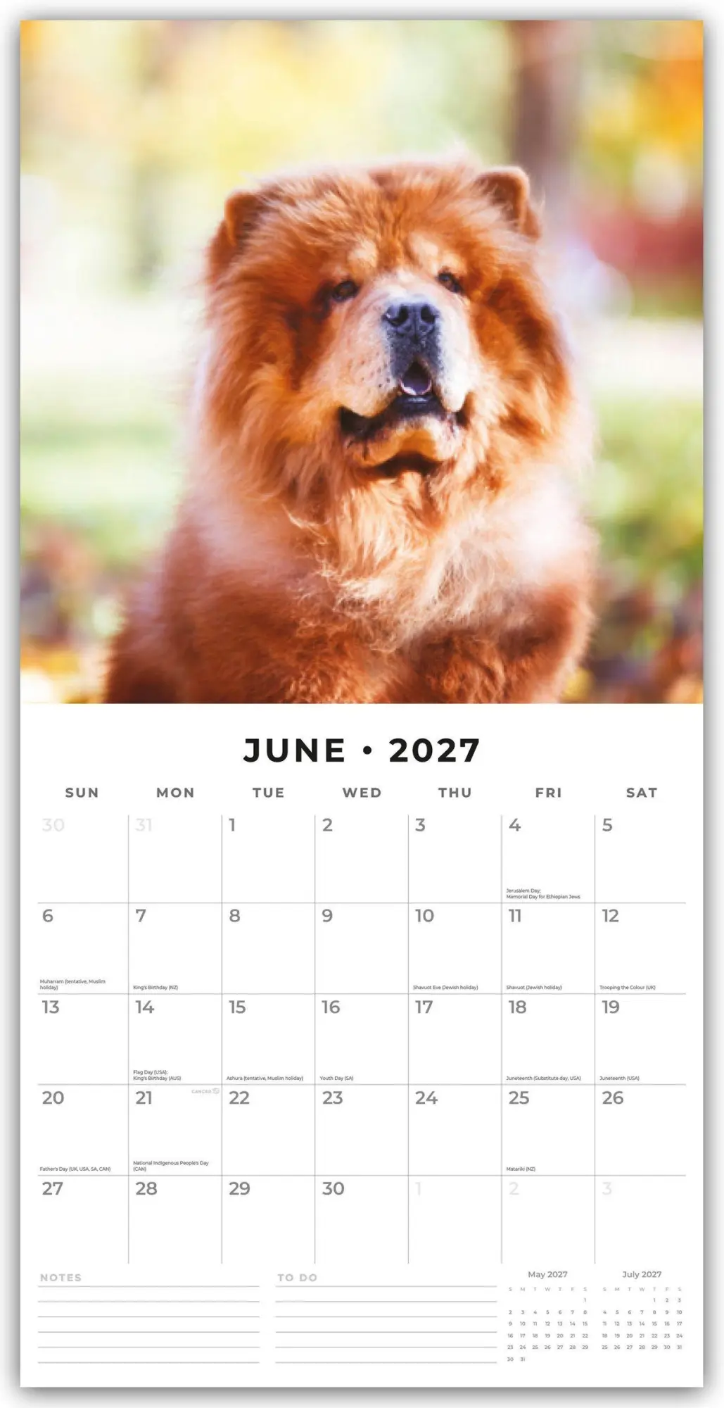Bild: 9781837012114 | Chow Chows - Chow Chow 2027 - 16-Monatskalender | Robin Red | Kalender