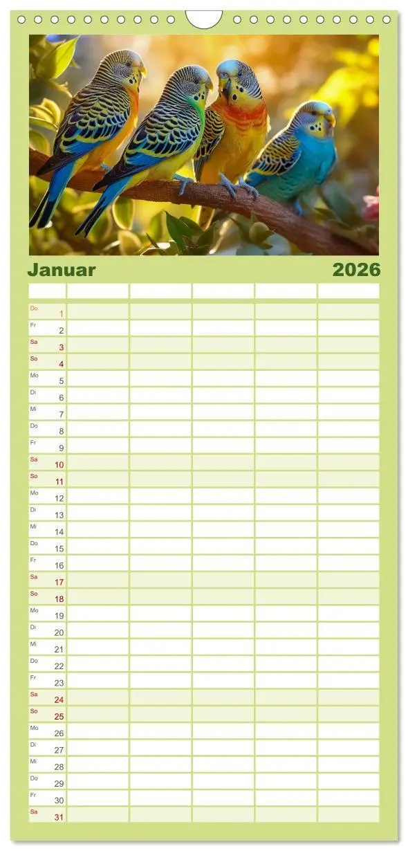 Bild: 9783516502114 | Familienplaner 2026 - Wellensittiche farbenfroh und munter mit 5...