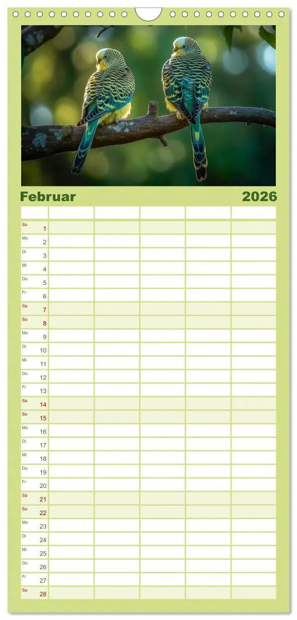 Bild: 9783516502114 | Familienplaner 2026 - Wellensittiche farbenfroh und munter mit 5...