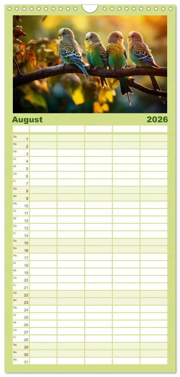 Bild: 9783516502114 | Familienplaner 2026 - Wellensittiche farbenfroh und munter mit 5...