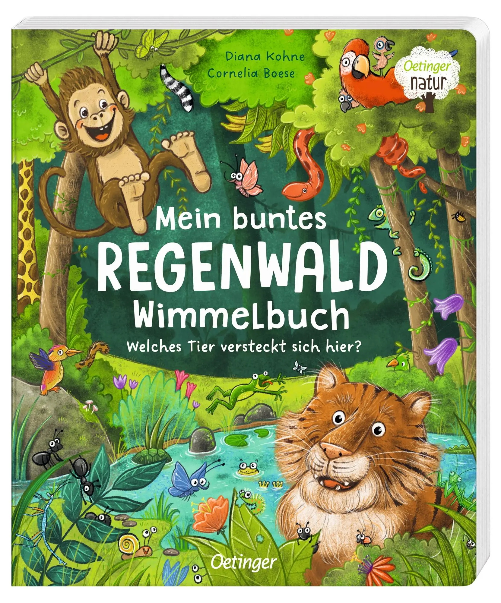 Bild: 9783751202114 | Mein buntes Regenwald Wimmelbuch | Welches Tier versteckt sich hier?
