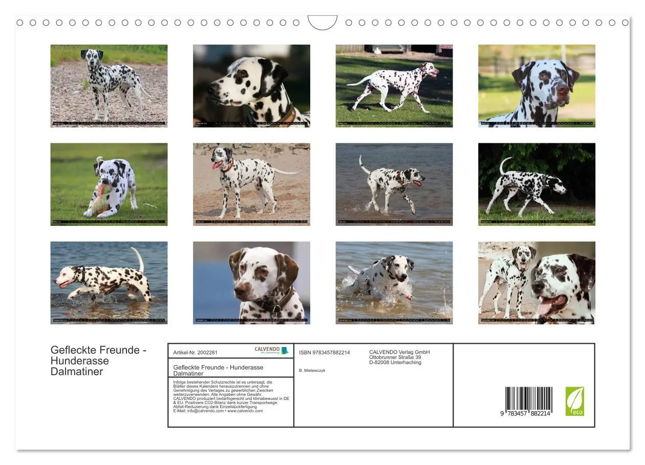 Bild: 9783457882214 | Gefleckte Freunde - Hunderasse Dalmatiner (Wandkalender 2026 DIN A3...