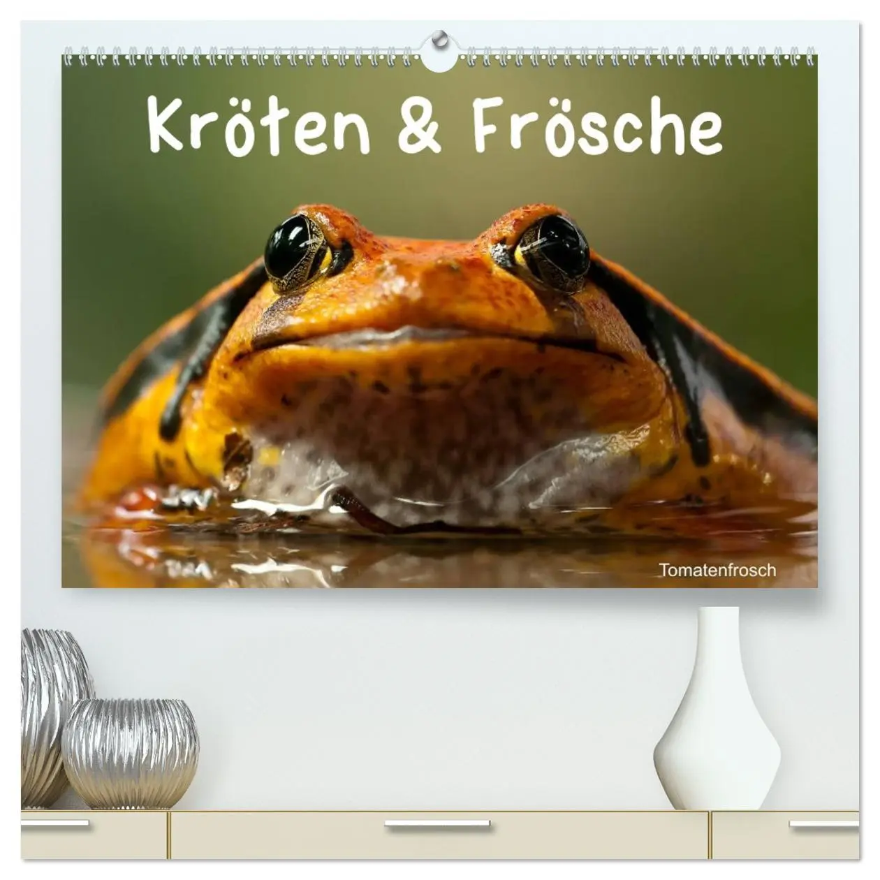 Cover: 9783516112214 | Kröten &amp; Frösche (hochwertiger Premium Wandkalender 2026 DIN A2...