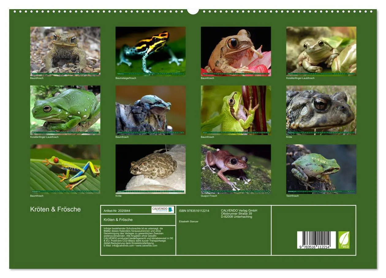 Bild: 9783516112214 | Kröten &amp; Frösche (hochwertiger Premium Wandkalender 2026 DIN A2...