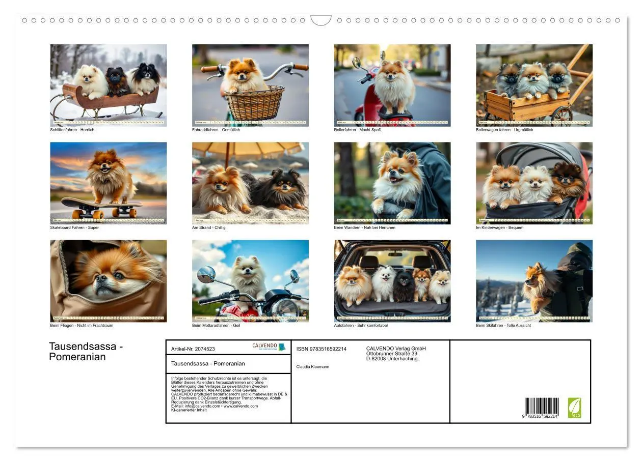 Bild: 9783516592214 | Tausendsassa - Pomeranian (Wandkalender 2026 DIN A2 quer), CALVENDO...