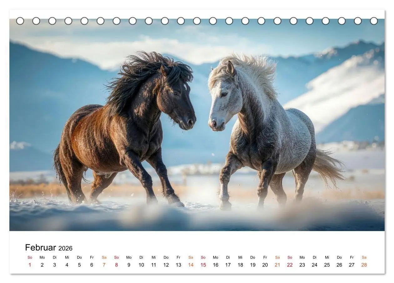 Bild: 9783516662214 | Islandpferde - Freiheit im Blick (Tischkalender 2026 DIN A5 quer),...
