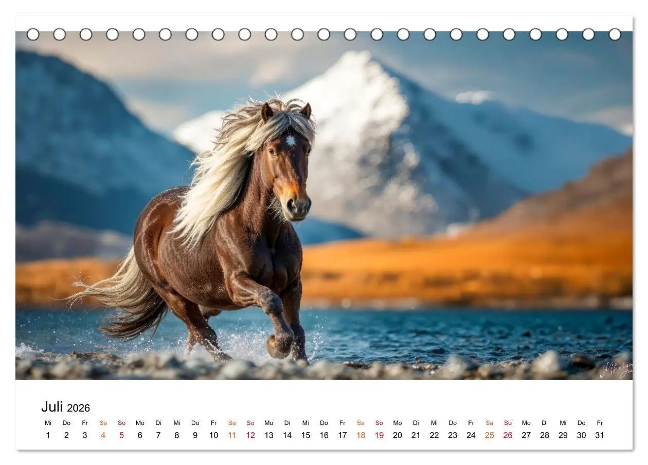 Bild: 9783516662214 | Islandpferde - Freiheit im Blick (Tischkalender 2026 DIN A5 quer),...
