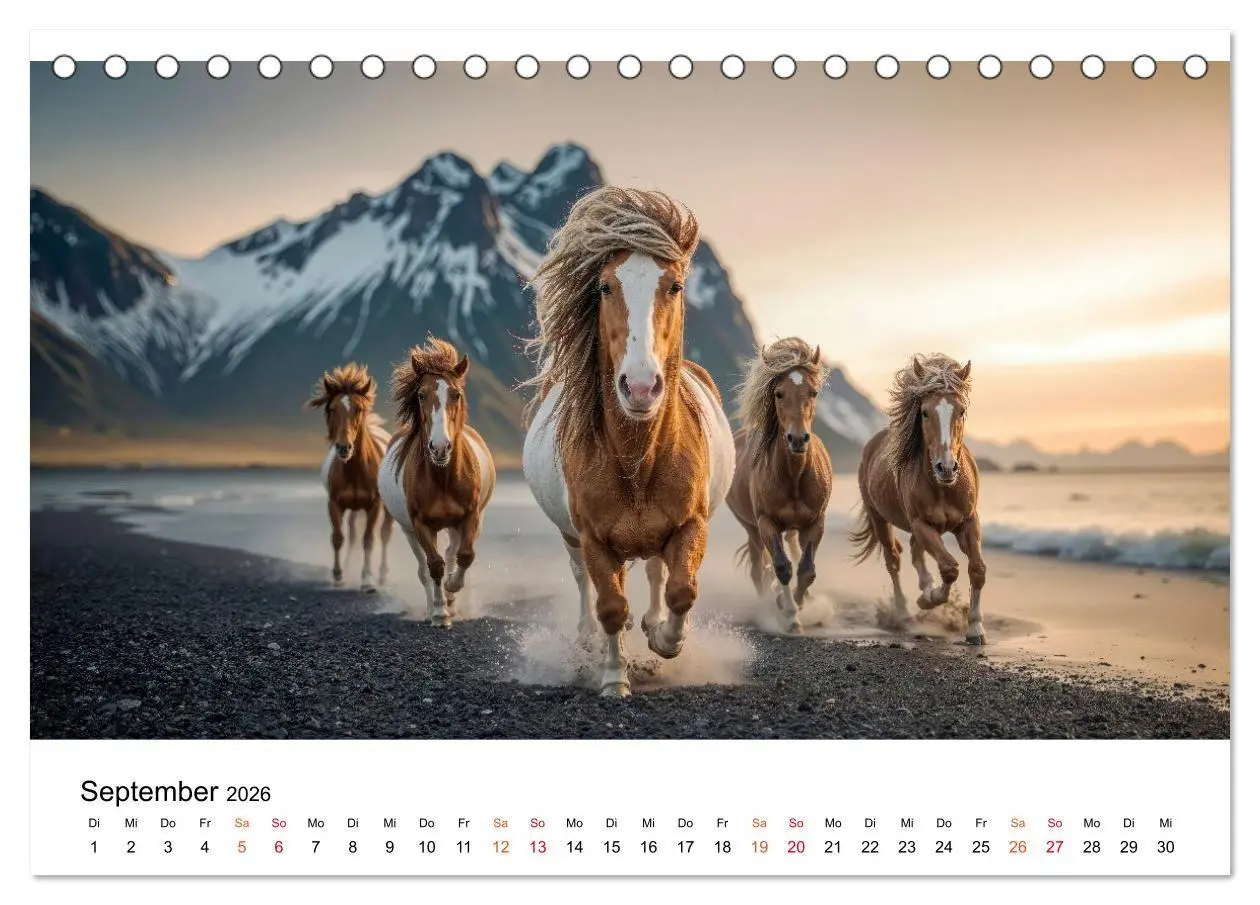 Bild: 9783516662214 | Islandpferde - Freiheit im Blick (Tischkalender 2026 DIN A5 quer),...