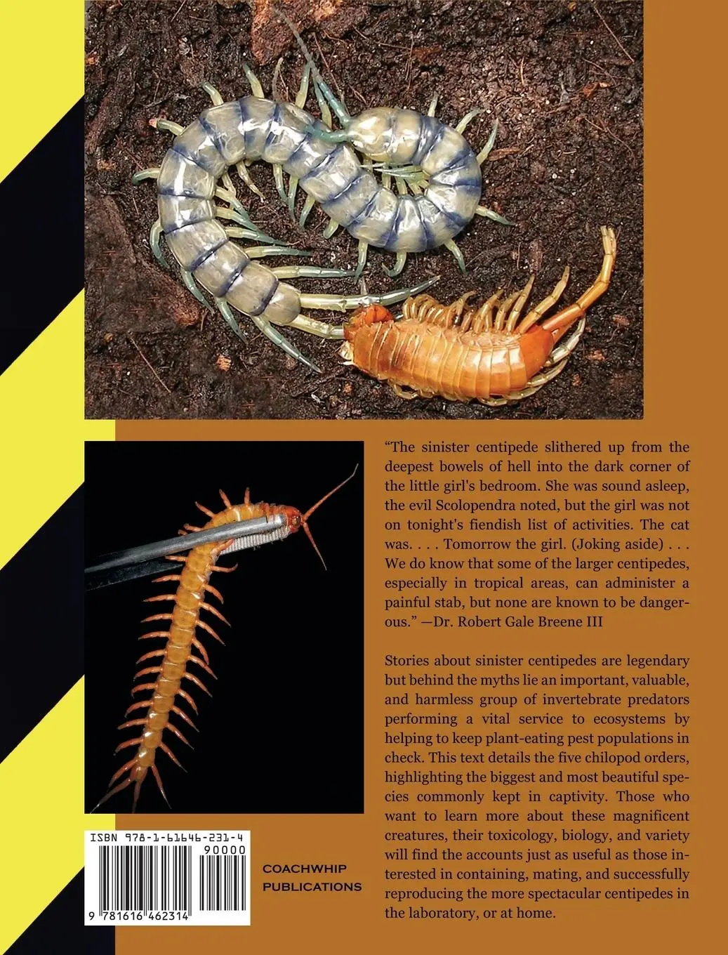 Rückseite: 9781616462314 | Centipedes in Captivity | Orin Mcmonigle | Buch | Gebunden | Englisch