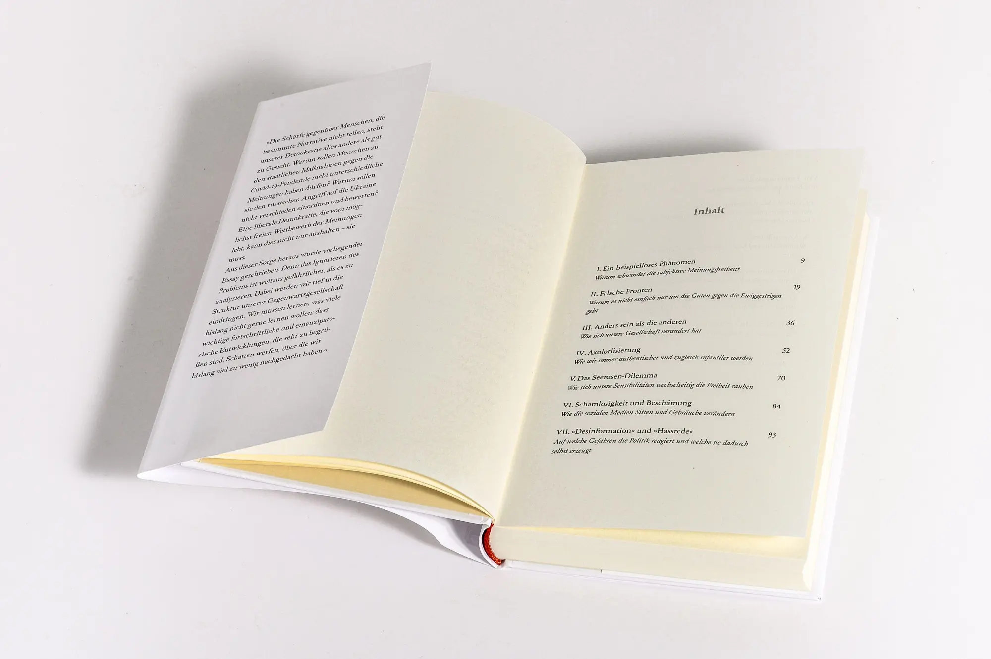 Bild: 9783442302314 | Angststillstand | Richard David Precht | Buch | 208 S. | Deutsch