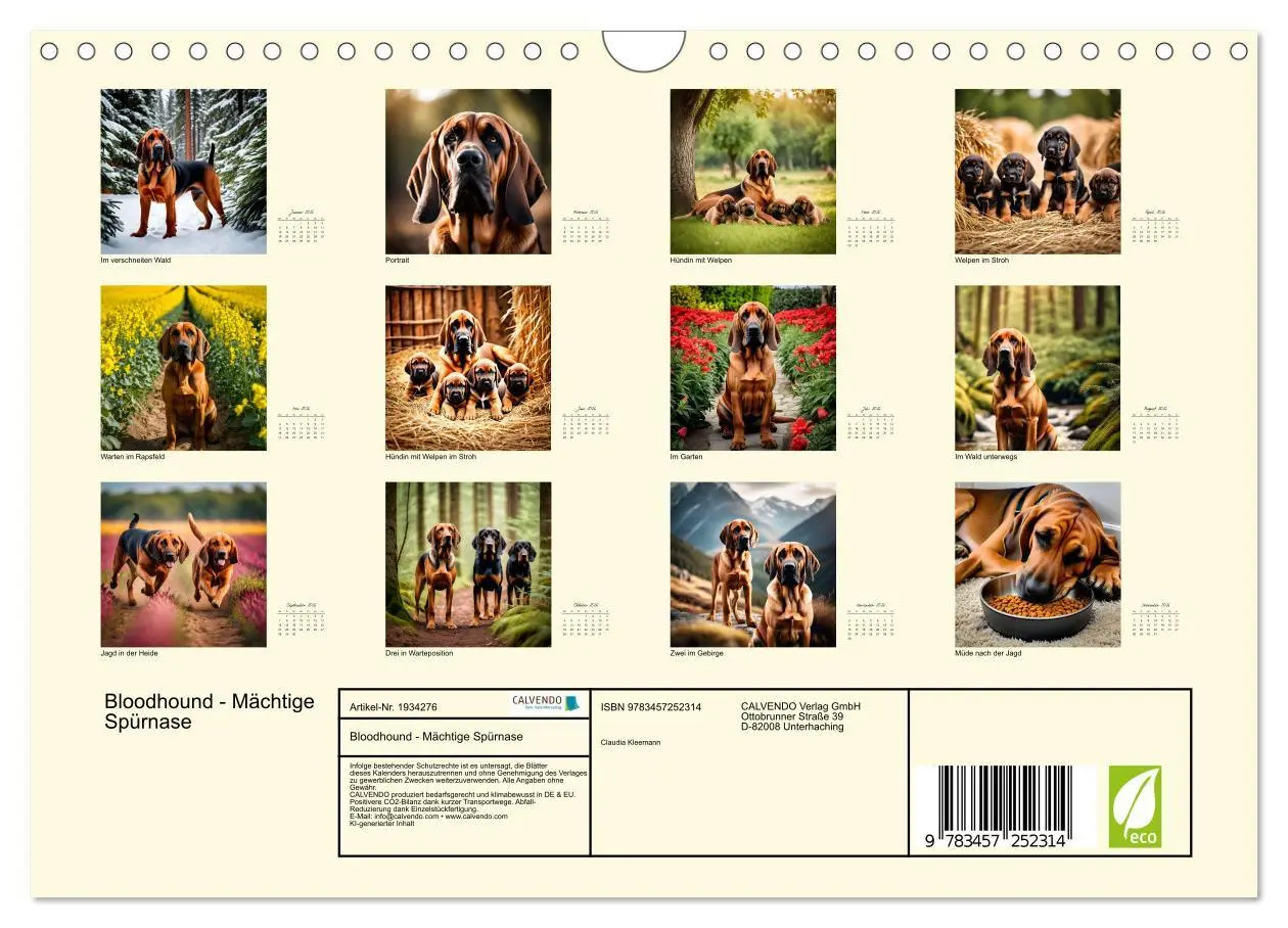 Bild: 9783457252314 | Bloodhound - Mächtige Spürnase (Wandkalender 2026 DIN A4 quer),...