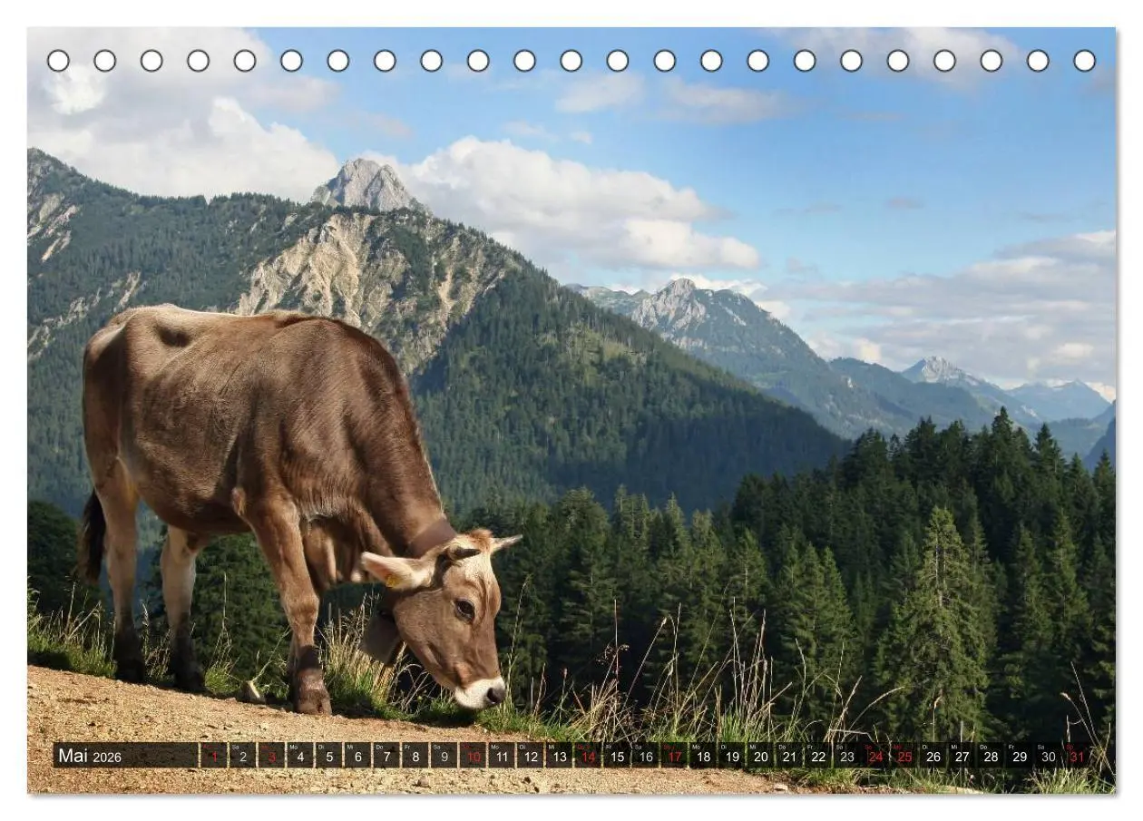 Bild: 9783516102314 | Ein Jahr im Allgäu (Tischkalender 2026 DIN A5 quer), CALVENDO...