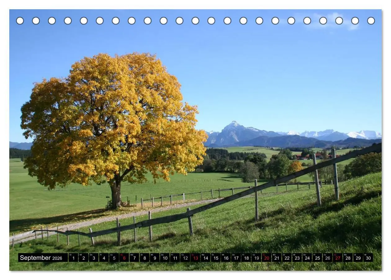 Bild: 9783516102314 | Ein Jahr im Allgäu (Tischkalender 2026 DIN A5 quer), CALVENDO...