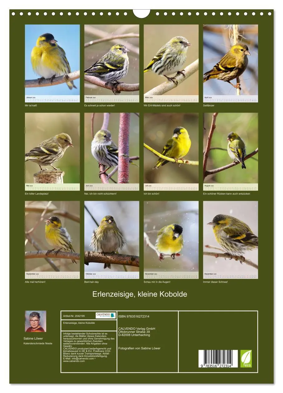 Bild: 9783516272314 | Erlenzeisige, kleine Kobolde (Wandkalender 2026 DIN A3 hoch),...