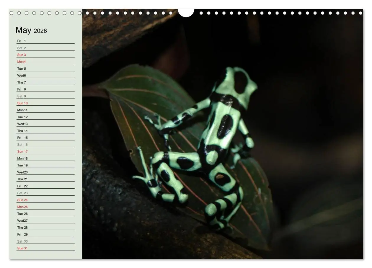 Bild: 9783516582314 | Poison dart frogs / UK-Version / Birthday Calendar (Wall Calendar...