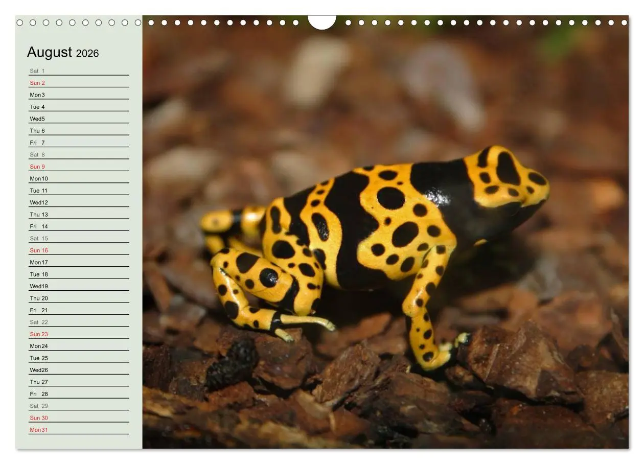 Bild: 9783516582314 | Poison dart frogs / UK-Version / Birthday Calendar (Wall Calendar...