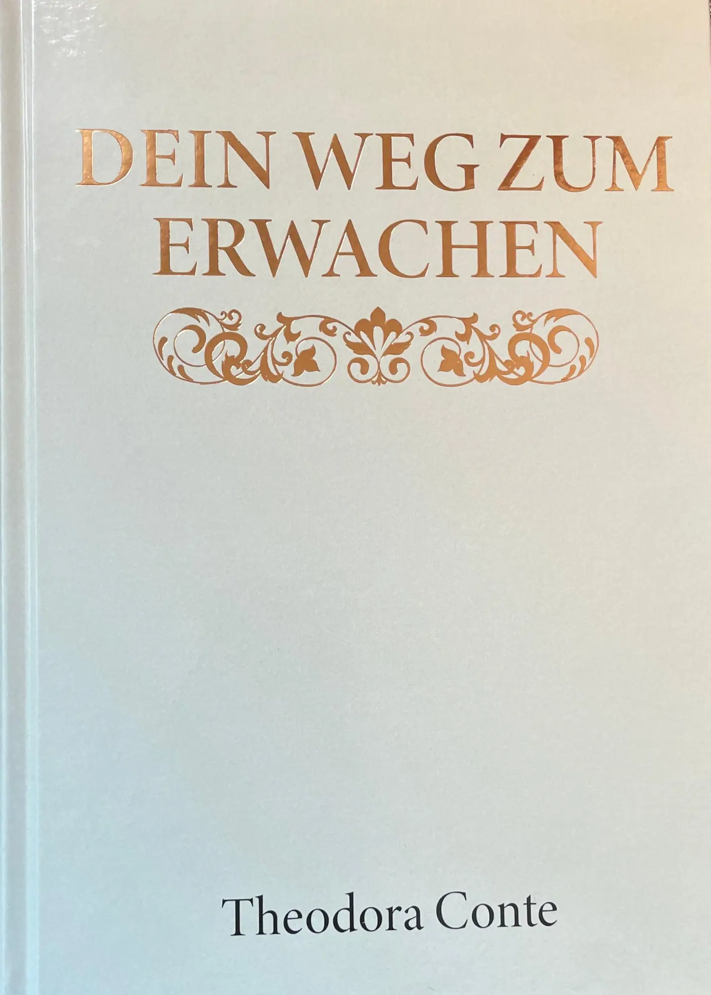 Cover: 9783948842314 | DEIN WEG ZUM ERWACHEN | Theodora Conte | Buch | Deutsch | 2024