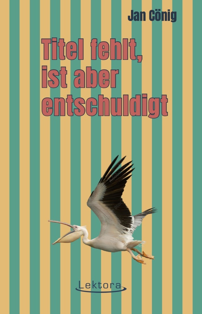 Cover: 9783954612314 | Titel fehlt, ist aber entschuldigt | Jan Cönig | Taschenbuch | 240 S.