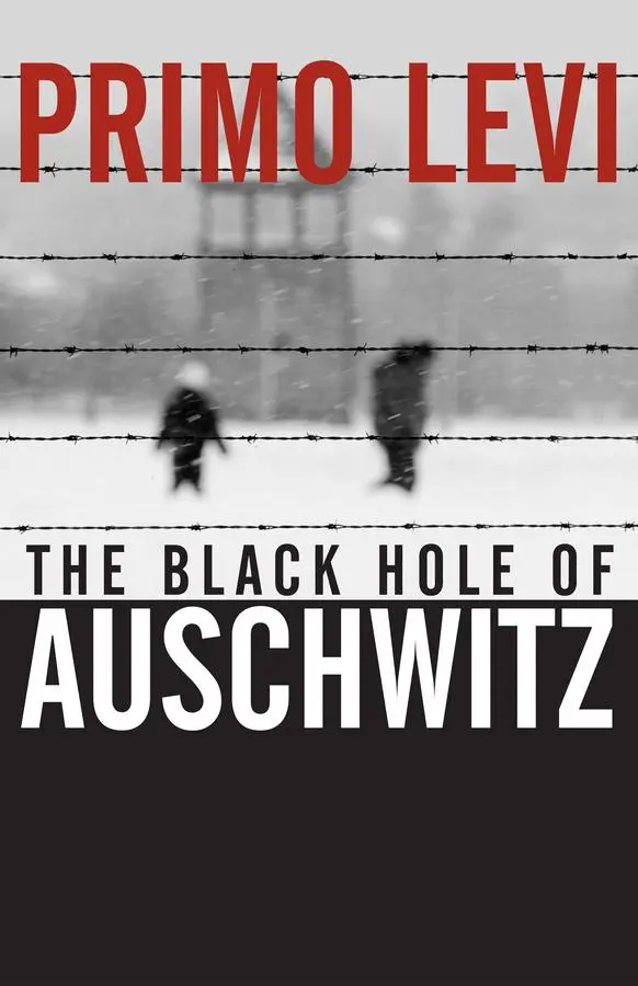 Cover: 9780745632414 | The Black Hole of Auschwitz | Primo Levi | Taschenbuch | Englisch