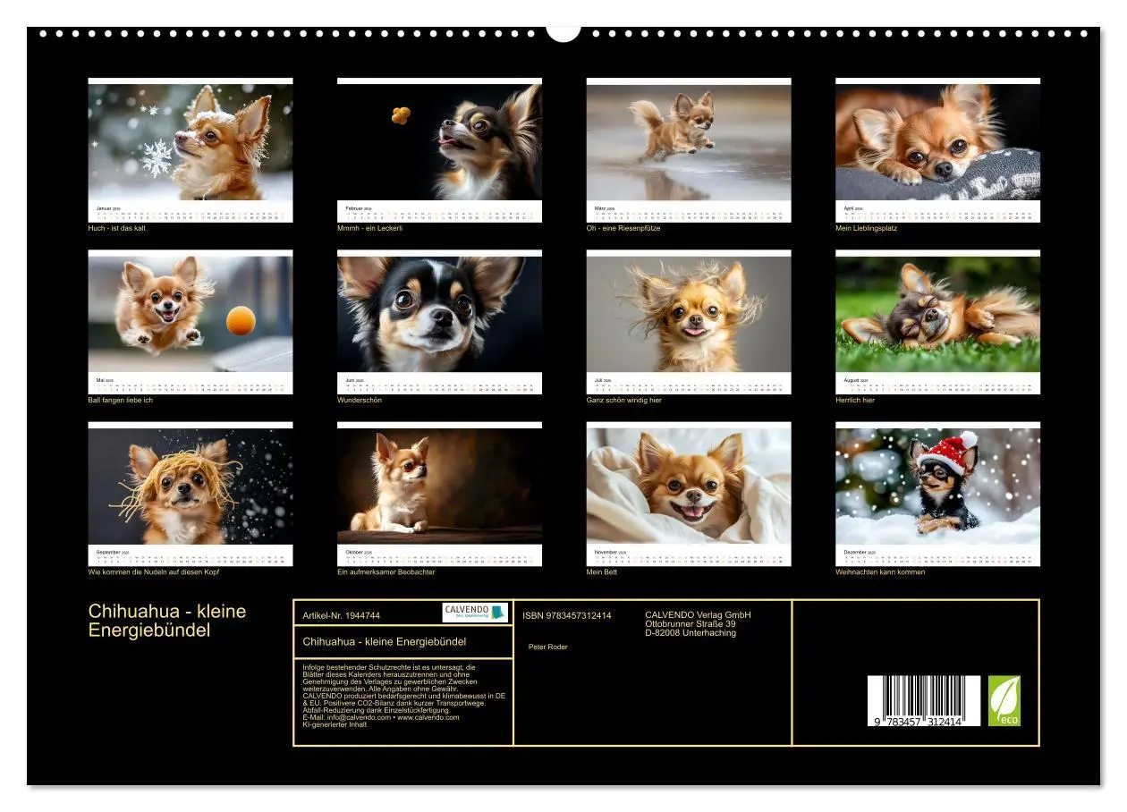 Bild: 9783457312414 | Chihuahua - kleine Energiebündel (hochwertiger Premium Wandkalender...
