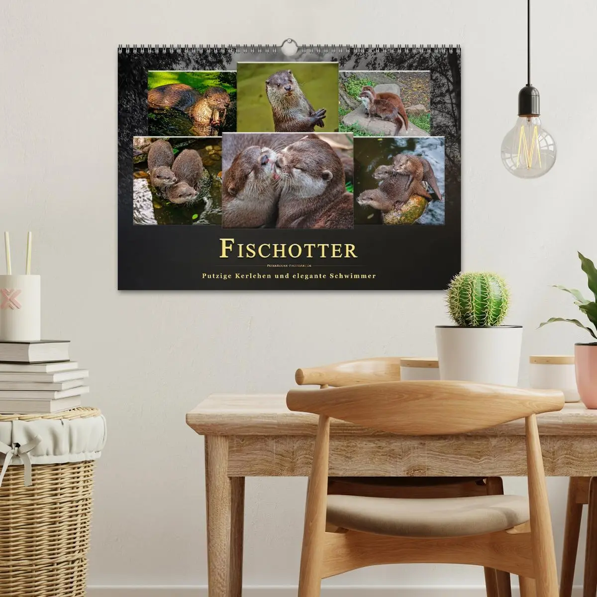 Bild: 9783457862414 | Fischotter - putzige Kerlchen und elegante Schwimmer (Wandkalender...