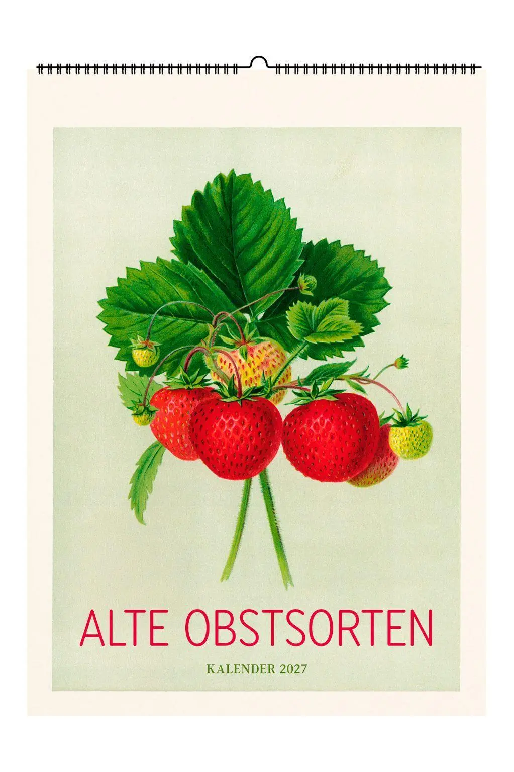 Cover: 9783968492414 | Alte Obstsorten. Wandkalender 2027 | Mit 13 historischen Abbildungen