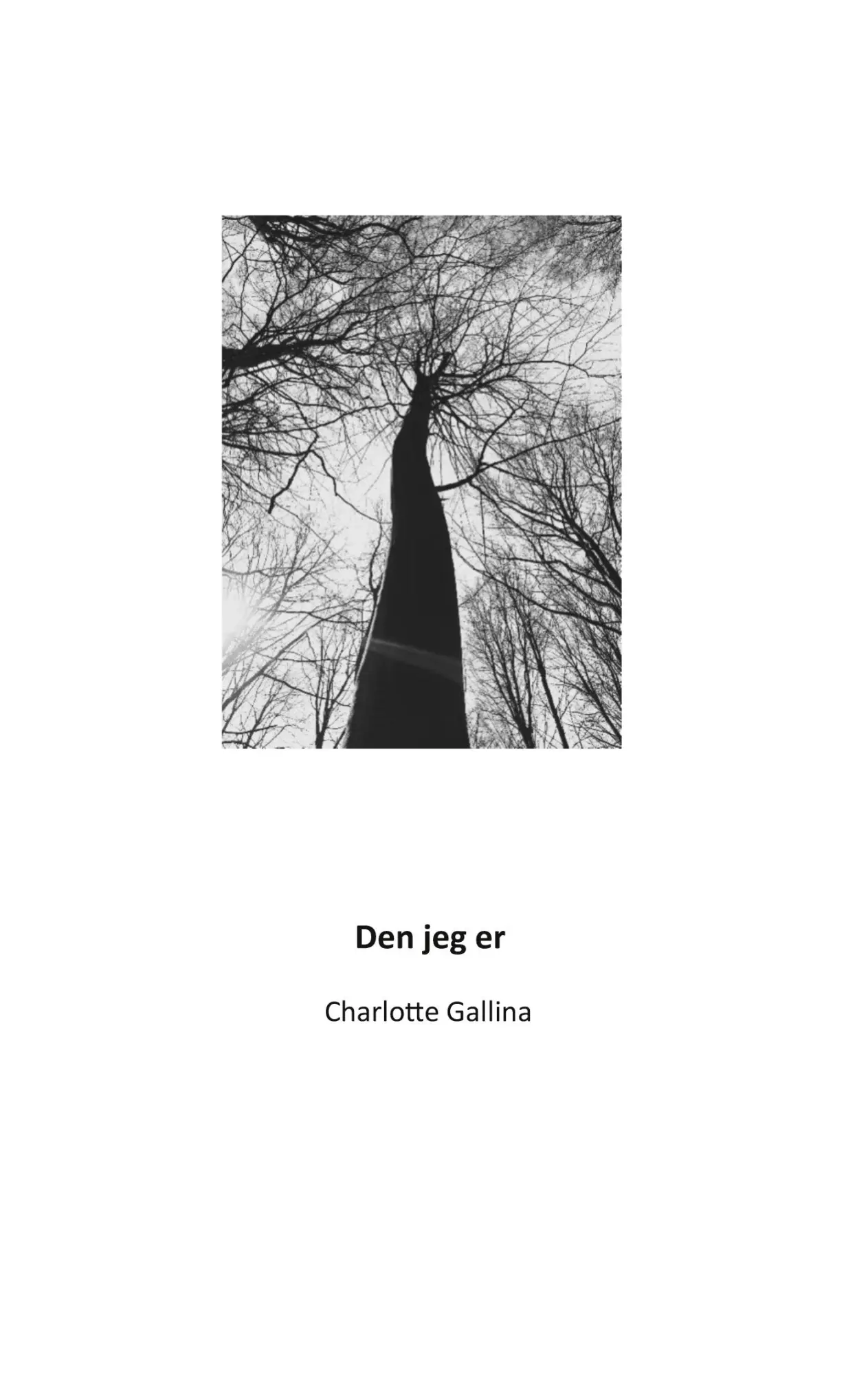 Den jeg er